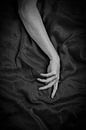 Satin sheets by Eveline Hellingman thumbnail