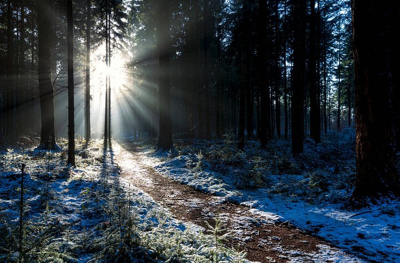Sonnenuntergang verschneite Wälder von Marcel Kerdijk