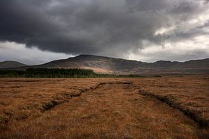 Spuren der Torfgewinnung in den Mooren Irlands