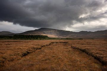 Traces d'extraction de tourbe dans les tourbières d'Irlande sur Bo Scheeringa Photography