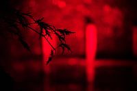 Rote Hintergrundbeleuchtung