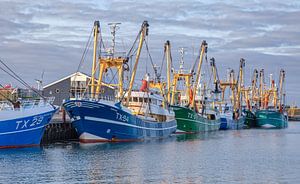 Texel Kutterflotte.