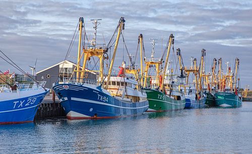Texel Kutterflotte.