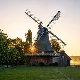 Mühle Amanda, Stade, Niedersachsen, Deutschland von Alexander Ludwig