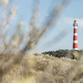 Vuurtoren Ameland van Dana Schoenmaker