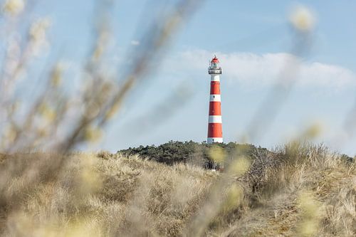 Vuurtoren Ameland
