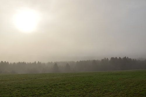 Een zonsopgang op een lente-ochtend