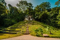 Swallowed by the jungle by Ruben Swart thumbnail