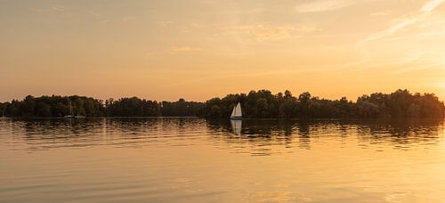 Sailboat in the setting sun on Paterswoldse meer