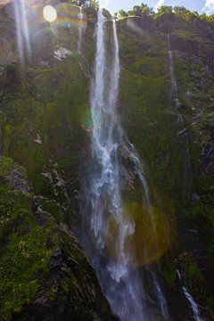 Wunderschöner Wasserfall Milford Sound von Evie Lammers