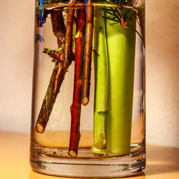 Tiges de fleurs dans un vase. par Huub de Bresser