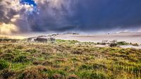 Paysage de dunes près de Bergen aan Zee