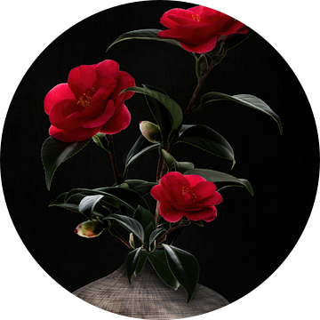 Stilleven  Camellia in vaas van Klaartje Majoor