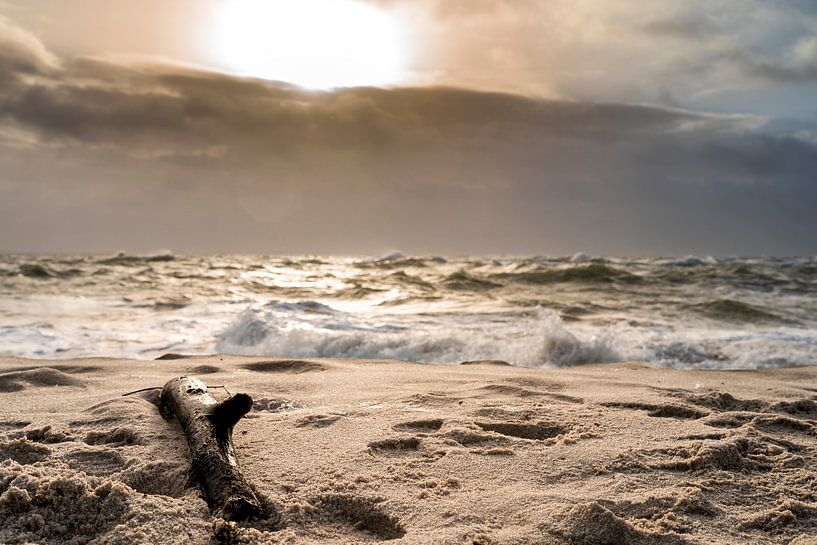 Strandgut von Stephan Zaun