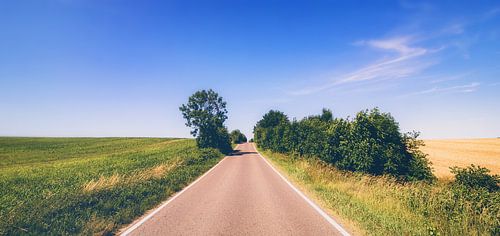 De weg naar nergens - weg tussen veld en weide in het midden van de regio Nier