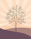 Minimalistisch landschap met een boom bij zonsondergang van Tanja Udelhofen thumbnail