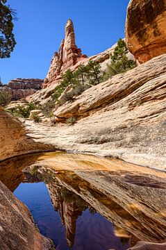 Canyonlands, The Needles District III by Gerry van Roosmalen