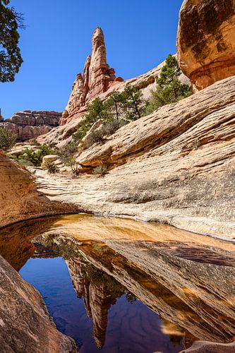 Canyonlands, De Needles District III