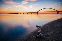 Fehmarnsund Bridge