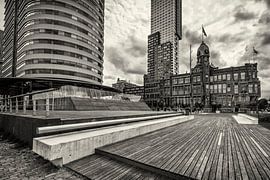 Holland America Line @ Rotterdam by Rob Boon