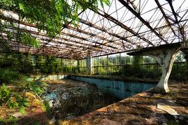 Piscine 3 by Kirsten Scholten