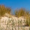 Dune de la mer du Nord sur Kirsten Warner