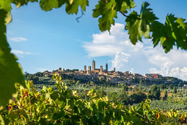 San Gimignano Skyline and Towers Framed by Vine Leaves by Stefano Orazzini