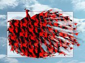 Artistic Red Peacock van Yvon van der Wijk thumbnail