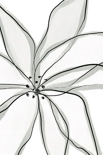 Delicate Flower Petals