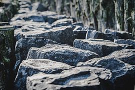 Basalt blocks long the Dutch dikes