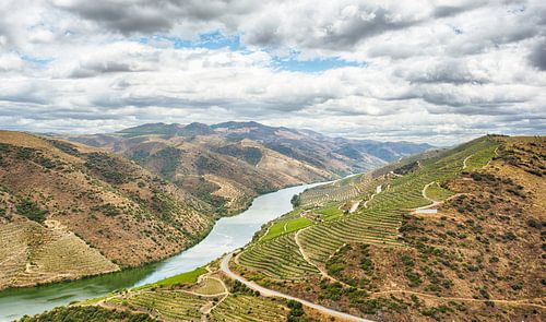 Vignobles Côa, Portugal