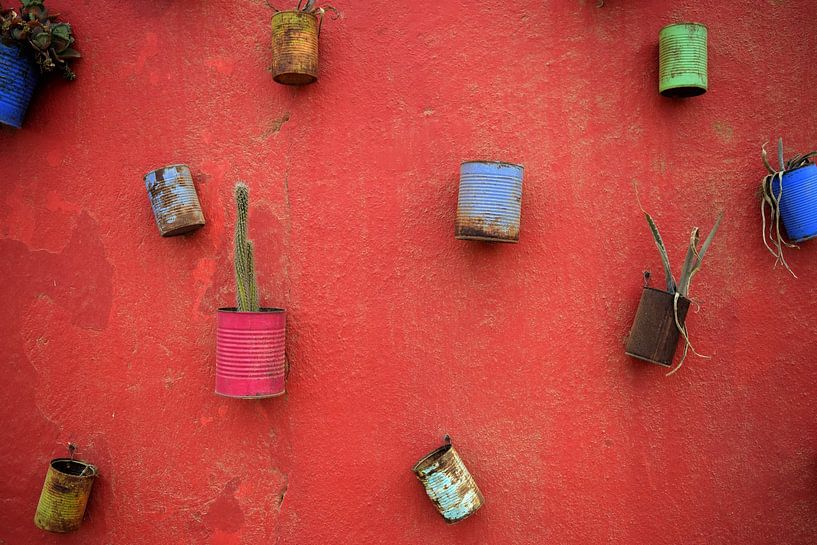 Bright red wall with rustic colored cans and small cactus plants by Studio LE-gals