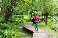 Active thrity year old woman walking a wooden trail through the by Werner Lerooy thumbnail