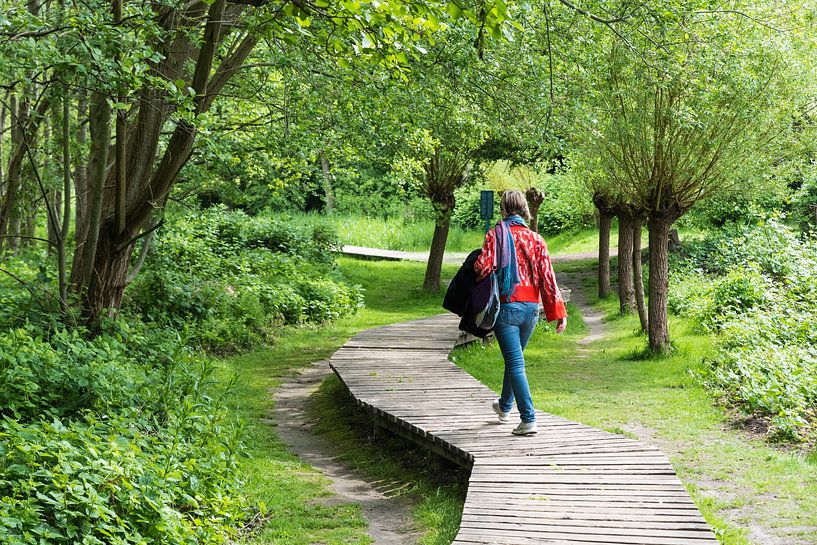 Femme active de trente ans marchant sur un sentier en bois dans la forêt. par Werner Lerooy
