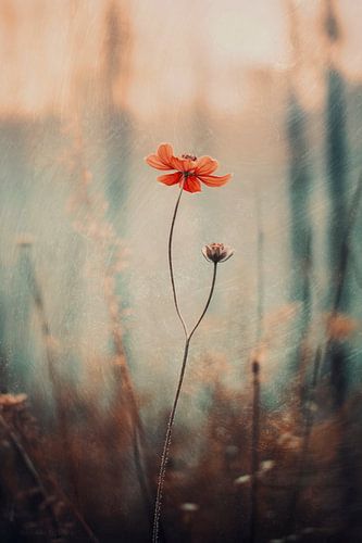 Nostalgic Nature No 3