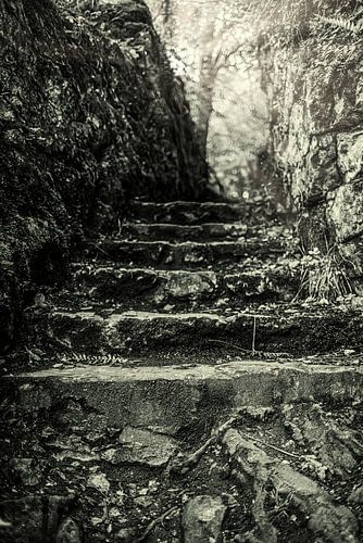 Magic staircase 2 by FotoSynthese
