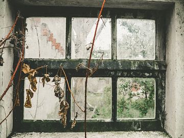 future window