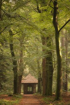 William Stamp Het Loo dans les bois sur Moetwil en van Dijk - Fotografie