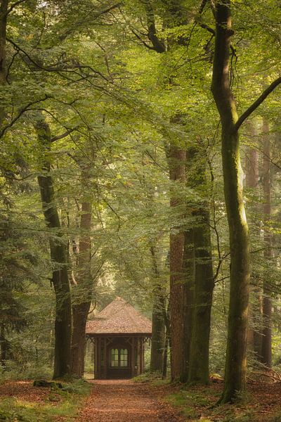 William stamp The Loo in the forest by Moetwil en van Dijk - Fotografie