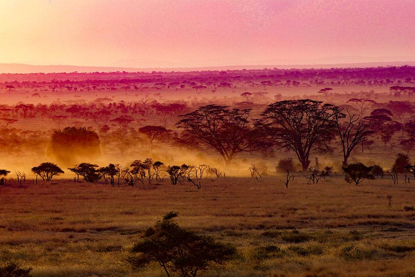 Serengeti van Truckpowerr