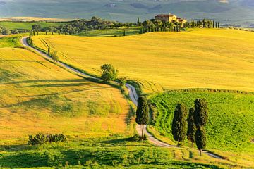 Val d'Orcia, Tuscany, Italy by Henk Meijer Photography