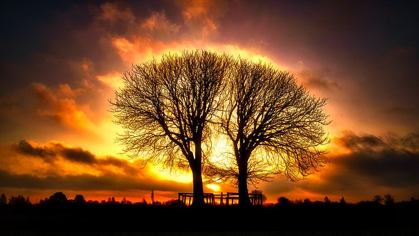 White chestnut trees by Wim van Beelen