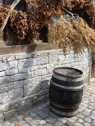 Ton von Piet van Winkel