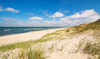 Küstenlandschaft Sylt