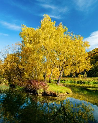 Trees in autumn colours at the river Blau near Blaubeurren
