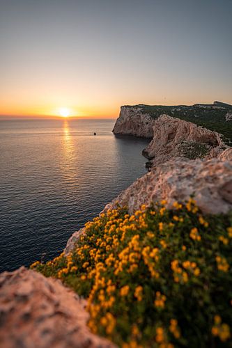 Zonsondergang op de kliffen van Sardinië in het Parco Naturale Di Porto Conte