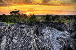Tsingy Madagaskar zonsondergang sur Dennis van de Water