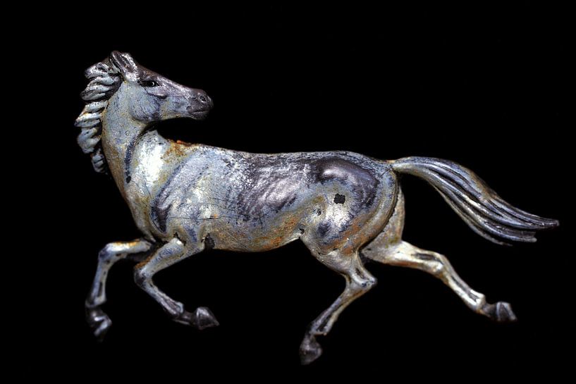 Cheval au galop  par Jolanta Mayerberg