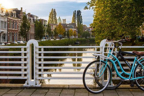 Typical Haarlem