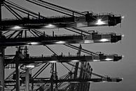 Hamburg - Loading cranes in the port of Hamburg by Das-Hamburg-Foto thumbnail